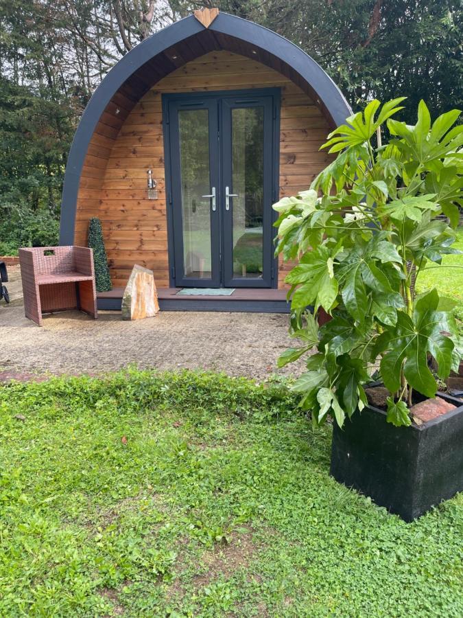 South Lodge House Dormansland Экстерьер фото